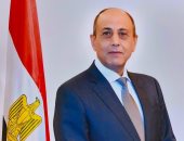 وزير الطيران: فوز مصر بعضوية مجلس منظمة الإيكاو تتويج لجهود العاملين بالقطاع
