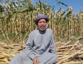 "زراعة الشرقية" تعلن حصاد 140 ألف فدان من المساحات بمحصول الذرة