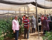 "زراعة الإسماعيلية" تطلق برنامجا لتدريب المرأة الريفية
