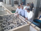 ضبط 1500 كجم من الأسماك المدخنة وتحرير 5 محاضر خلال حملات تفتيشية ورقابية