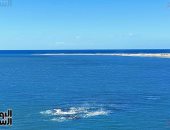 اللى جاى إسكندرية فى "الويك إند" تقلوا الملابس.. موجة للتقلبات الجوية الخريفية تبدأ اليوم.. انخفاض مستمر فى درجات الحرارة وارتفاع الأمواج إلى 2.5 متر.. رياح تصل سرعتها لـ 50 كيلو مترا.. وتوقعات بأمطار خفيفة