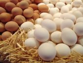 استشارى تغذية: "البيض ليس به كالسيوم.. الكالسيوم موجود فى القشر فقط"