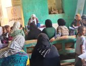"القومى للمرأة" ينظم 25 من جلسات الدوار فى قرى حياة كريمة بأسوان.. صور