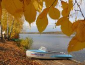 الخريف يزين شوارع روسيا.. أوراق الشجر الصفراء تجمل الحدائق والميادين