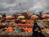 خضراوات وفواكه وحفلات موسيقية.. فعاليات كرنفال الخريف الذهبي للطعام فى موسكو