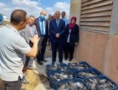 رئيس جامعة بنها يشهد بدء إنتاج سمك البلطى بالمزارع السمكية في كلية الزراعة.. صور