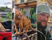 الدنيا حظوظ.. قطة "مغامرة" تسافر 29 دولة مع مالكها الأسكتلندى