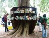 مكتبات الحدائق صديقة البيئة تحرض على القراءة في الهواء الطلق.. صور
