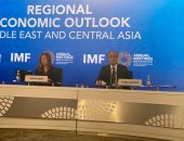 صندوق النقد: العديد من الدول تتجه نحو الركود والأزمات المتتالية ستؤثر على نمو الاقتصاد فى 2023.. والبنوك المركزية مطالبة بسياسات مستمرة للسيطرة على التضخم.. والاستثمار فى طاقات الشباب ضرورة فى القارة الأفريقية