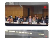 رانيا المشاط تلقى كلمة مصر  أمام مجموعة الـ24 الدولية المعنية بالشئون النقدية