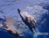 سباح بريطانى يروج لأهداف مؤتمر المناخ برسالة خاصة من قلب البحر الأحمر.. فيديو‏