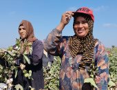 اليوم العالمى للمرأة الريفية.. وجوه مبتسمة من أجل لقمة العيش بغيطان الشرقية (صور)