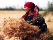 فى يومها العالمى.. جهود تمكين وتوعية المرأة الريفية فى مصر (فيديو)