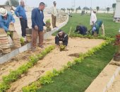 نقابة الخدمات الإدارية تشارك بمبادرة اتحضر للأخضر وزراعة 100 مليون شجرة