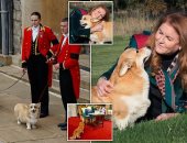 سارة فيرجسون دوقة يورك تحتفل بعيد ميلادها الـ62 مع كلاب الملكة إليزابيث.. صور