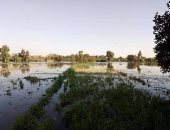 رئيس مدينة أشمون يرد على شكوى غرق أراضى دلهمو: تم التنبيه بالإخلاء