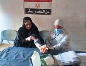 "صحة أسوان" تنظم قافلة مجانية للكشف على 2400 مواطن بقرى حياة كريمة.. صور