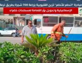 مبادرة "اتحضر للأخضر" تزين القليوبية بزراعة 700 شجرة بطريق ترعة الإسماعيلية.. فيديو