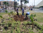 محافظة الإسكندرية: زرعنا 300 ألف شجرة منذ إطلاق المبادرة الرئاسية