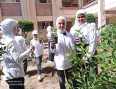 مدارس شمال سيناء تتنافس بأفكار إبداعية فى تنفيذ مبادرة اتحضر للأخضر.. صور