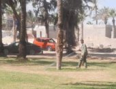 "زراعة الإسكندرية": رش نخيل حدائق المنتزه بالمبيدات لوقايته من السوسة الحمراء