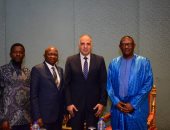 وزير الرى يبحث مع وزير المياه السيراليونى سُبل تعزيز التعاون بين البلدين