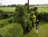 صمما وجوه من الأشجار.. بريطانيان يحولان حديقة منزلهما لمعرض فنى مفتوح "صور"