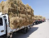 تموين الغربية تعلن توريد 13 مليونا و537 ألفا و550 طنا من الأرز الشعير المحلى