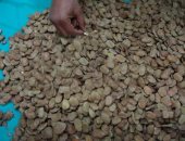 تموين بورسعيد تضبط مياه معدنية وفول ومصنعات لحوم مجهولة المصدر