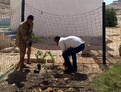 اتحضر للأخضر.. زراعة 10 آلاف شجرة بسمالوط ضمن مبادرة 100 مليون شجرة.. المنيا تشارك بـ222 مشروعا ذكيا.. والمحافظ يؤكد: مشــروع إنشــاء محطــة الطاقـة الشمسـية لصناعات كربونات الكالسيوم "سفير المحافظة".. صور