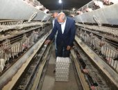 10 معلومات عن مشروع الـ 30 مليون بيضة وخطة إنشاء مشروعات زراعية في الخانكة