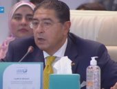هشام عزب العرب: يجب إعادة النظر فى إدارة الشركات المملوكة للدولة