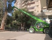 نظافة القاهرة تقلم أضخم شجرة استجابة لشكاوى سكان شارع الطبرى بمصر الجديدة