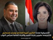 التنسيقية تهنئ النائبين أميرة العادلى ومحمد إسماعيل لاختيارهما بلجنة القيم بمجلس النواب