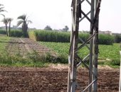 أبراج كهرباء ورصف الشوارع.. حياة كريمة تزين قرى ملوى وديرمواس بالمنيا