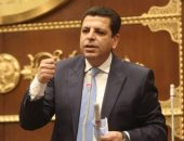 محمود سامى: مصر دولة واعدة وجاذبة للاستثمار الأجنبى المباشر