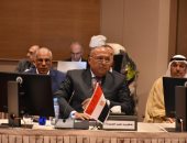 شكرى يشارك فى اجتماع لجنة تنفيذ القرارات والمتابعة للقمة العربية بالجزائر