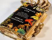 مكتبة الجوائز.. "الحياة المتشابكة" كتاب يكشف أثر الفطريات لتجنب الكوراث البيئية