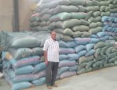 تموين بورسعيد: ارتفاع حصيلة توريد الأرز الشعير بمضرب الشرق الأوسط لـ147 طنا