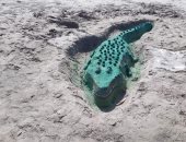 "الرسم على الرمال" مسابقة فنية على شواطئ رأس البر برعاية الوحدة المحلية.. صور