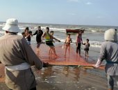 رحلات يومية للصيادين فى بورسعيد.. والحصاد على حسب الرزق.. صور