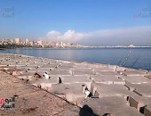 طقس الإسكندرية الآن.. مستقر نسبيا والصرف الصحى ترفع درجة الاستعداد "صور"