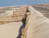 مشروعات حماية من "البوص والرمال" بكفر الشيخ.. شاهد كيف تواجه مصر التغيرات المناخية؟