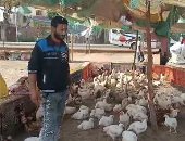 تعرف على أسعار الدواجن والخضراوات والفاكهة والأسماك فى المنوفية.. فيديو