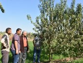 جامعة السادات تطلق قافلة بيطرية وزراعية مجانية بقرية الأخضرة ضمن "حياة كريمة"