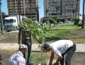  محافظ الإسكندرية: نعمل علي زيادة الأشجار المثمرة وتشجير الطرق والمحاور الرئيسية 
