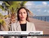 مراسلة القاهرة الإخبارية: فكر التعليم عن بعد بدأت تنتشر خلال الفترة الأخيرة فى تونس