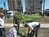 محافظ الإسكندرية: زراعة 24 ألف شجرة بالمبادرة الرئاسية "100 مليون شجرة" حتى الآن