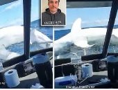 لحظة جنونية ومرعبة.. سمكة قرش تقفز على متن قارب بنيوزيلندا "فيديو وصور"