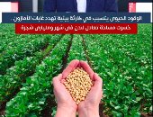 الوقود الحيوى يتسبب في كارثة بيئية تهدد غابات الأمازون.. فيديو